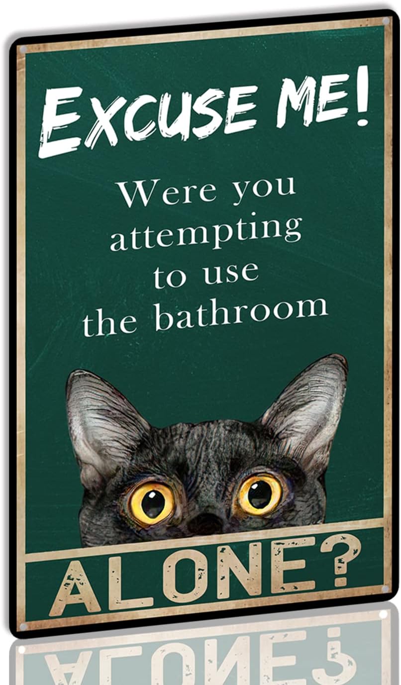 YLUYINOM Tin Sign Painting Fun - Home Alone Bathroom ulasan dan harga