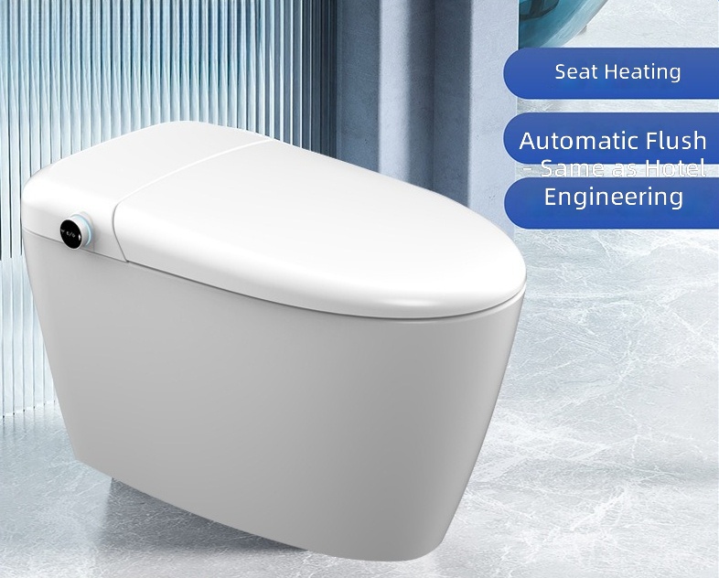 Heated Smart Toilet Seat, Auto - Home In Bathroom ulasan dan harga