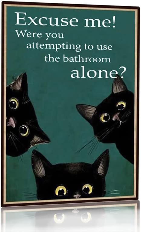 Funny Black Cat Bathroom Decor - Home Alone Bathroom ulasan dan harga